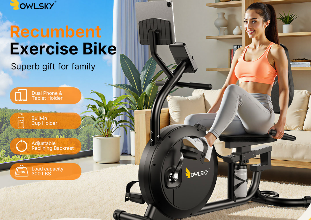 Recumbent Exercise Bike